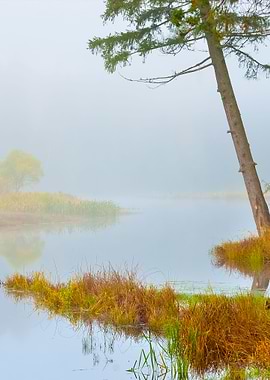 Autumn River Scene In Stro