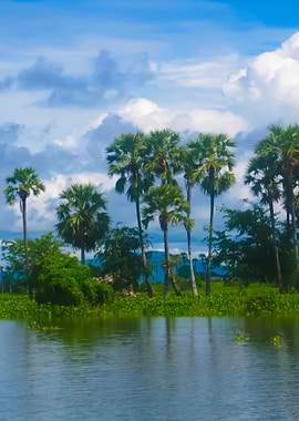 Views Of Nature In Cambodi