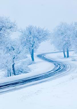 Snowy Winter Road Trees Wi