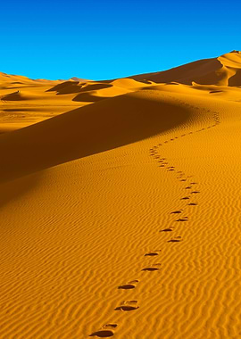 Stunning Backgrounds