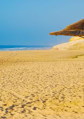 Beach Scene With Coconuts