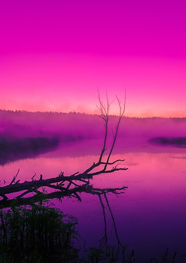 A Misty Morning Over The R