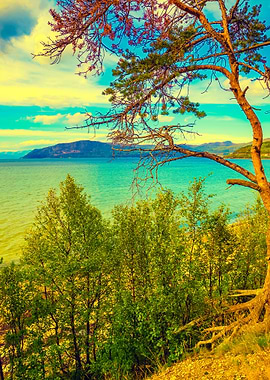 Mountain Lake Shore With T