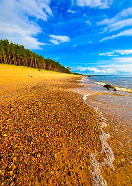 Baltic Sea Shore In Latvia