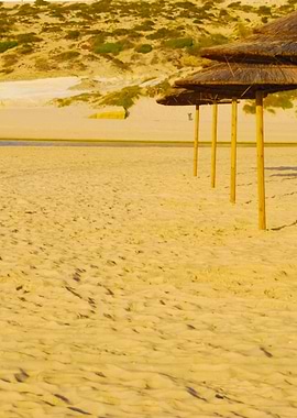 Beach Scene With Coconuts
