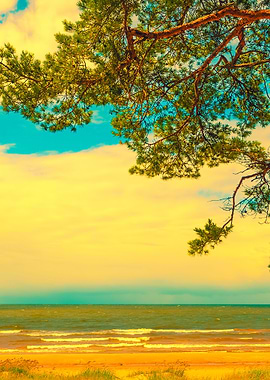 Pine Trees On The Beach