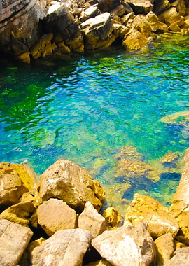 Beautiful Lagoon With Gree