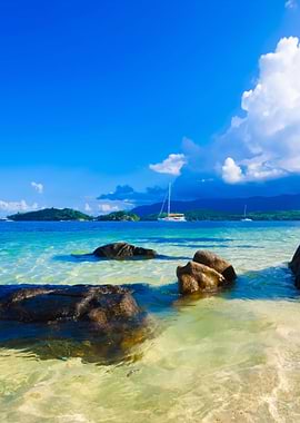 Stunning Backgrounds