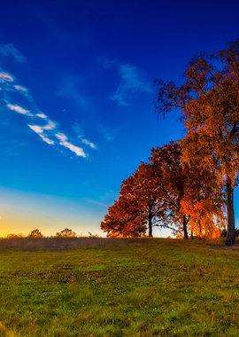 Autumnal Grassland Landsca