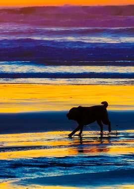 Stunning Backgrounds