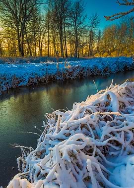 Winter River Landscape