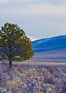 Stunning Backgrounds