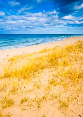 Sea Shore With Grass Beaut