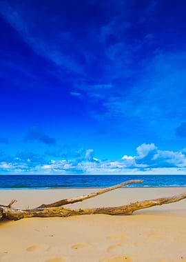 Beach Landscape Baltic Coa