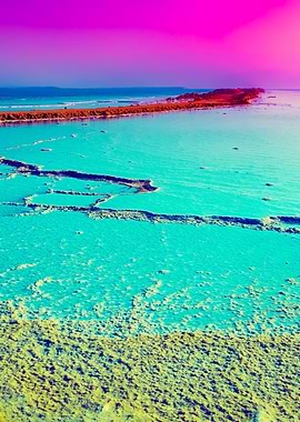 Dead Sea Salty Shore At Su