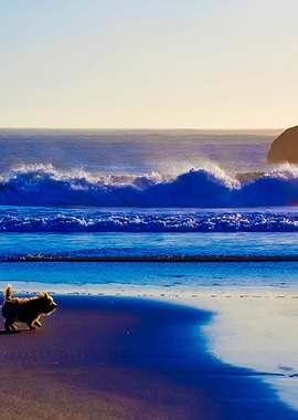 Stunning Backgrounds