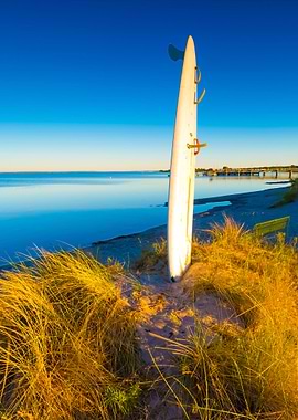 Surfing Board Pounded In S