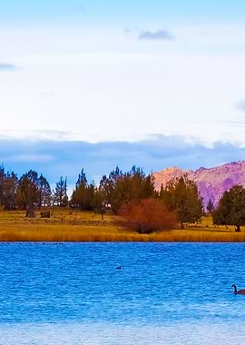 Stunning Backgrounds