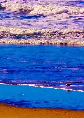 Stunning Backgrounds