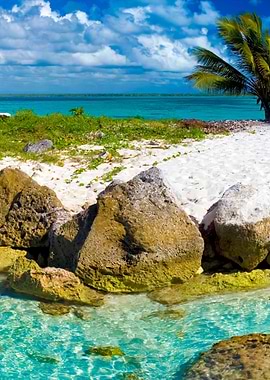 Stunning Backgrounds