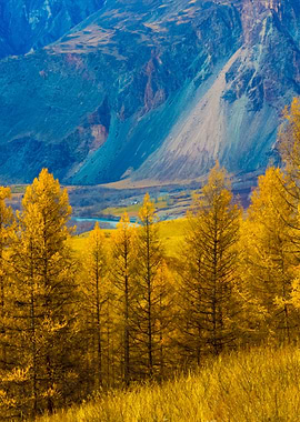 Stunning Backgrounds