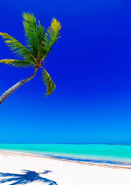 Stunning Backgrounds