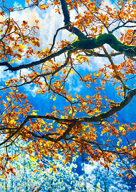 Landscape With The Frozen