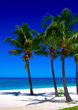 Stunning Backgrounds