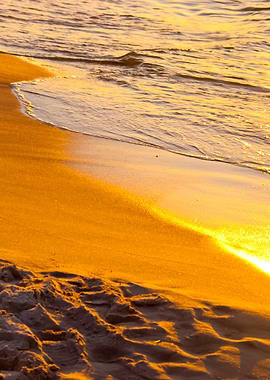 Beach In The Evening