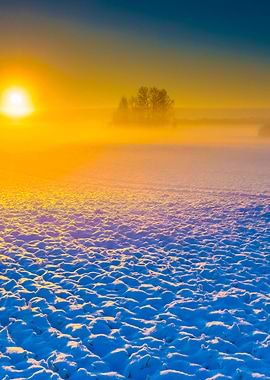 Beautiful Winter Field Lan