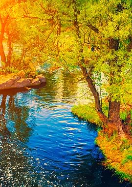 River Bank With Rocks