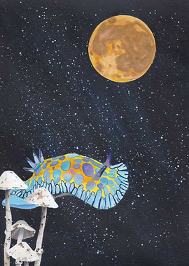 Galactic Goniobranchus