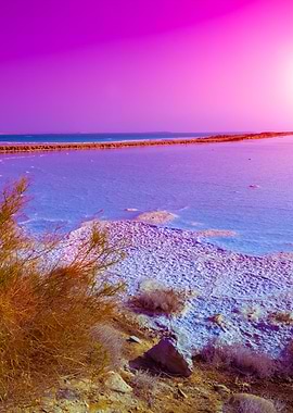 Dead Sea Salty Shore At Su