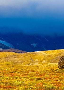 Wild Nature Of Kamchatka V