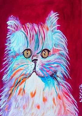 persan cat pink orange