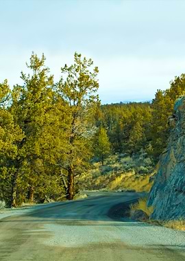 Stunning Backgrounds