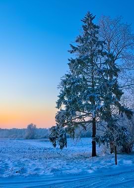 Winter Countryside View
