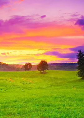 Sunset Landscape