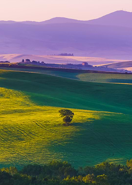 Tuscany Italy Landscape