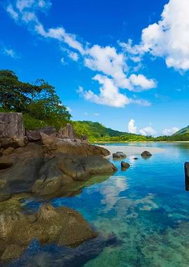 Stunning Backgrounds