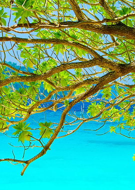 Tree On Beautiful Blue Sea