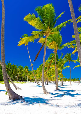 Stunning Backgrounds