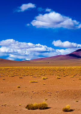 Stunning Backgrounds