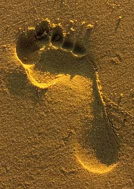 Foot Print In The Sand