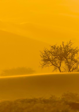 Stunning Backgrounds