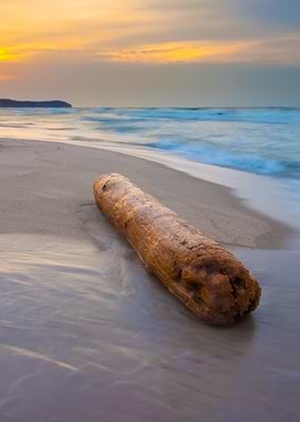 Baltic Seascape At Winter