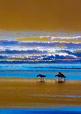 Stunning Backgrounds