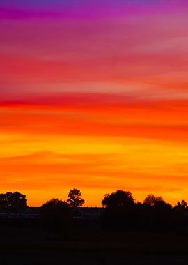 Rural Landscape In Evening