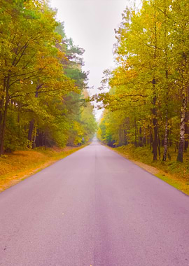 Asphalt Road In Landscape