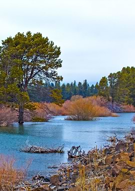 Stunning Backgrounds